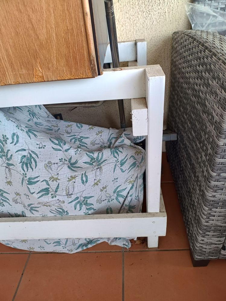 IMG_20240727_120223804_HDR.jpg IMG_20240727_120223804_HDR.jpg