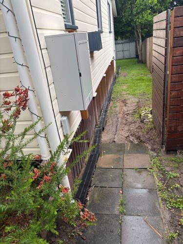 IMG_3385.jpeg IMG_3385.jpeg