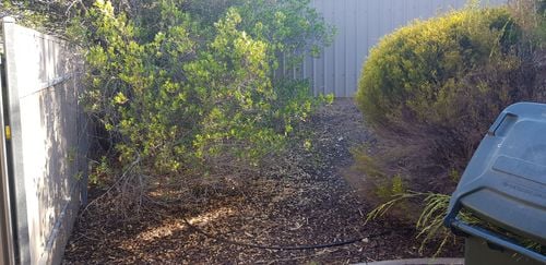 20200102_083713.jpg 20200102_083713.jpg