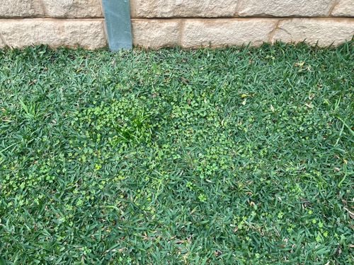 IMG_7230.jpeg IMG_7230.jpeg