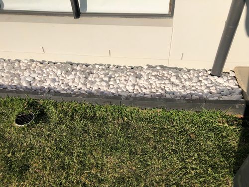 IMG_9103.jpeg IMG_9103.jpeg