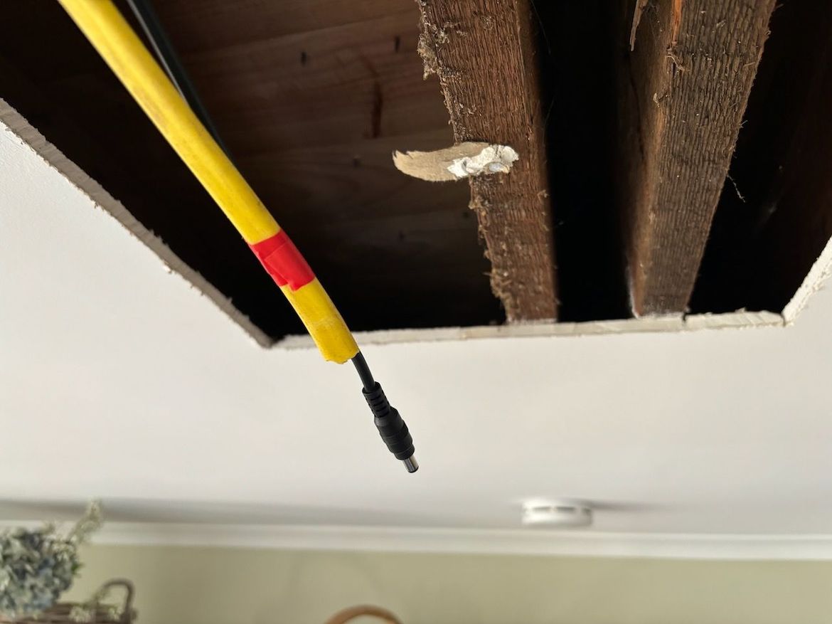 IMG_8234.jpeg IMG_8234.jpeg