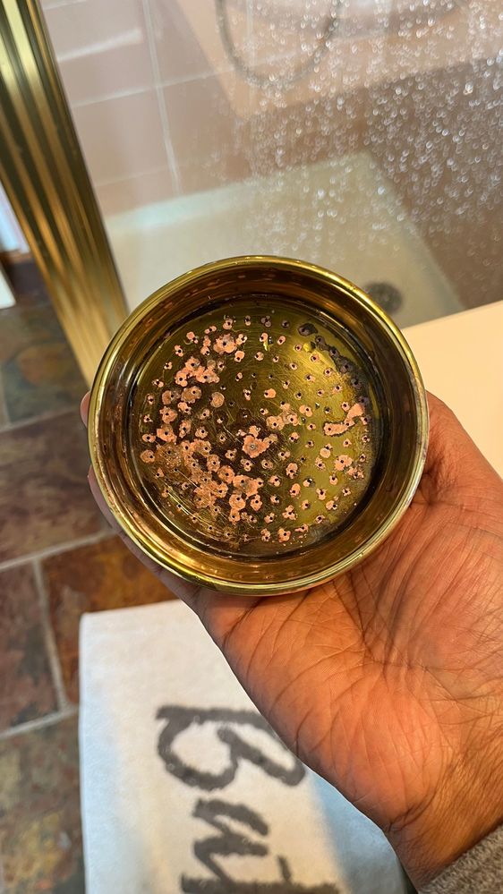 IMG_3275.jpeg IMG_3275.jpeg