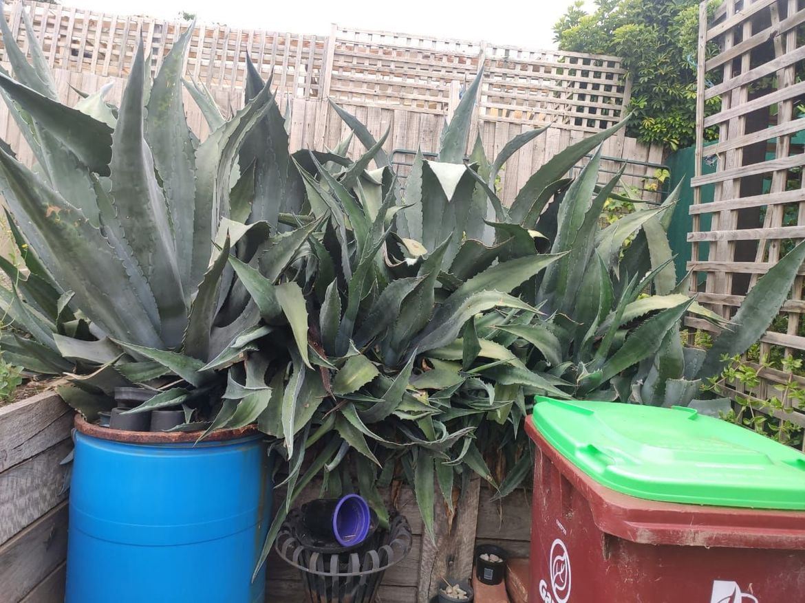 IMG-20220215-WA0004.jpg IMG-20220215-WA0004.jpg