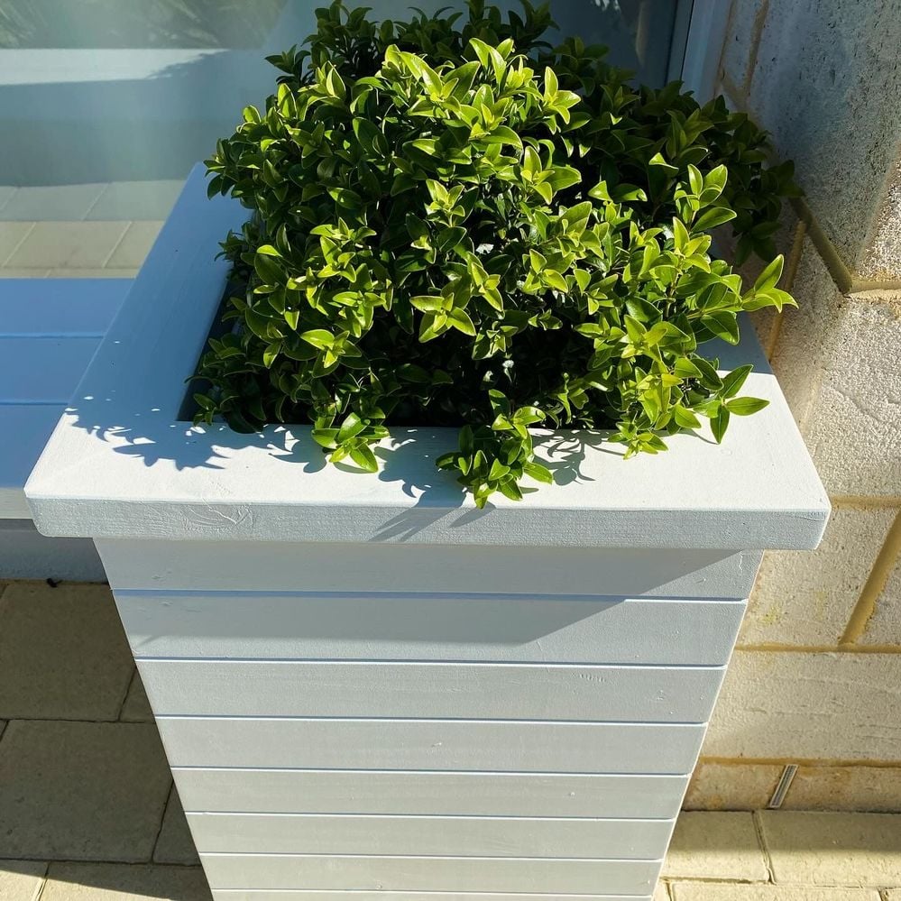 8EF0ECFE-54EE-43B8-ABC7-845A0C202A0A.jpeg 8EF0ECFE-54EE-43B8-ABC7-845A0C202A0A.jpeg