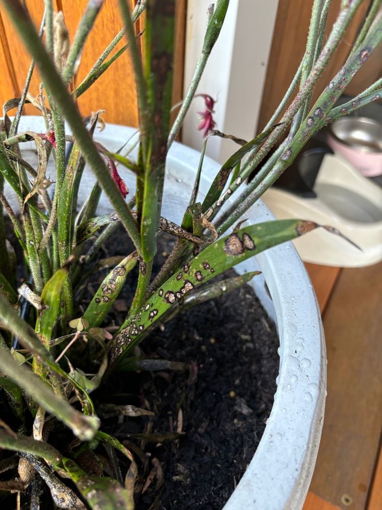 IMG_8876.jpeg IMG_8876.jpeg