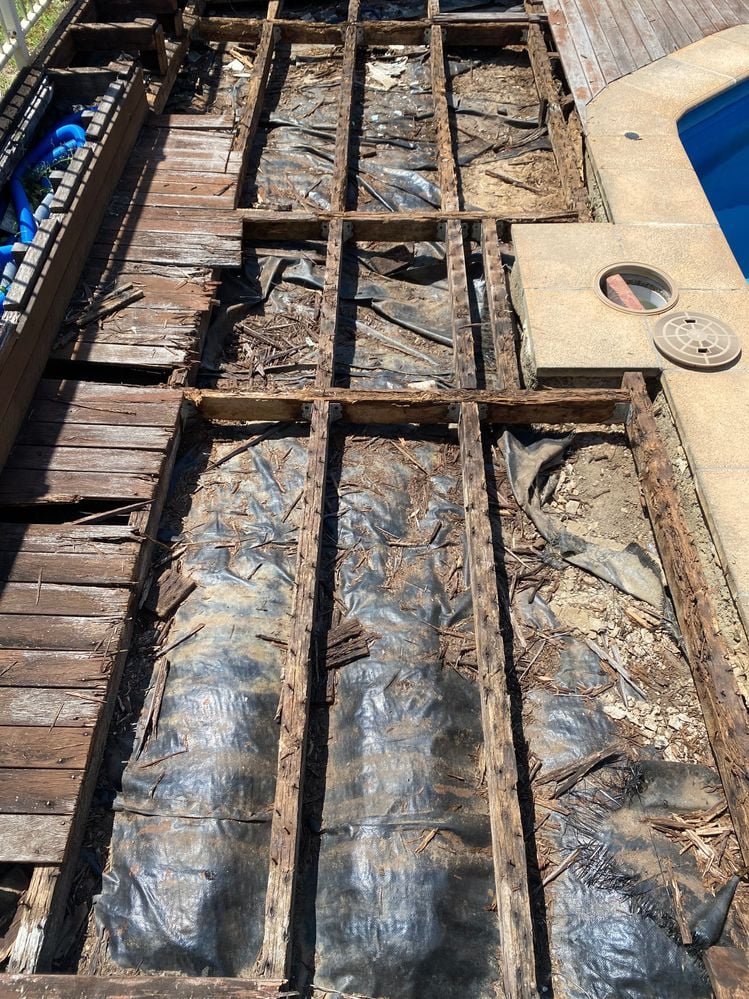 IMG_6747.jpg IMG_6747.jpg