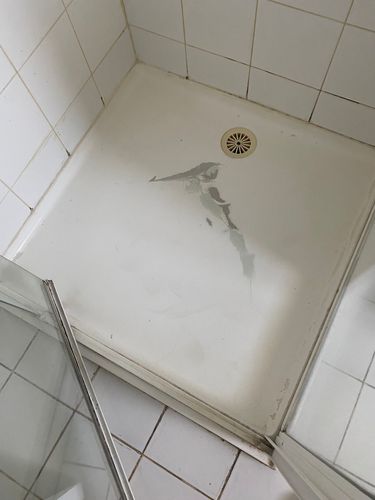 IMG_1591.jpeg IMG_1591.jpeg