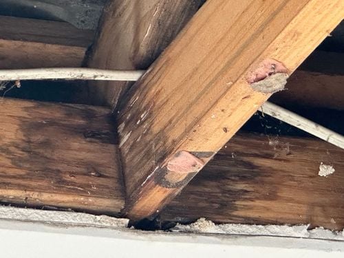 IMG_0092.jpeg IMG_0092.jpeg