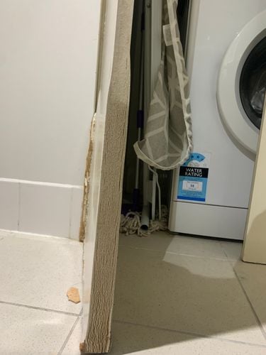 IMG_0378.jpeg IMG_0378.jpeg