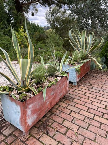 F9A3F365-9726-47F0-BEF0-4940C691E595.jpeg F9A3F365-9726-47F0-BEF0-4940C691E595.jpeg