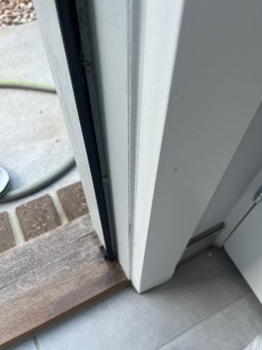 IMG_1478.jpeg IMG_1478.jpeg