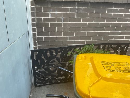 IMG_0485.jpeg IMG_0485.jpeg