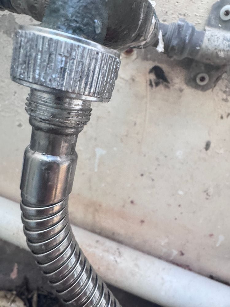 IMG_6905.JPG IMG_6905.JPG