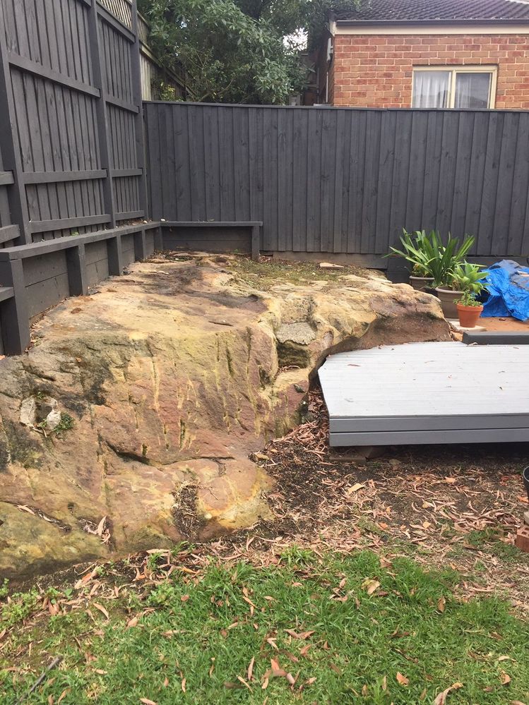 IMG_3100.JPG IMG_3100.JPG