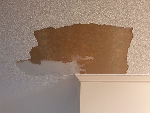 20210612_155502.jpg 20210612_155502.jpg