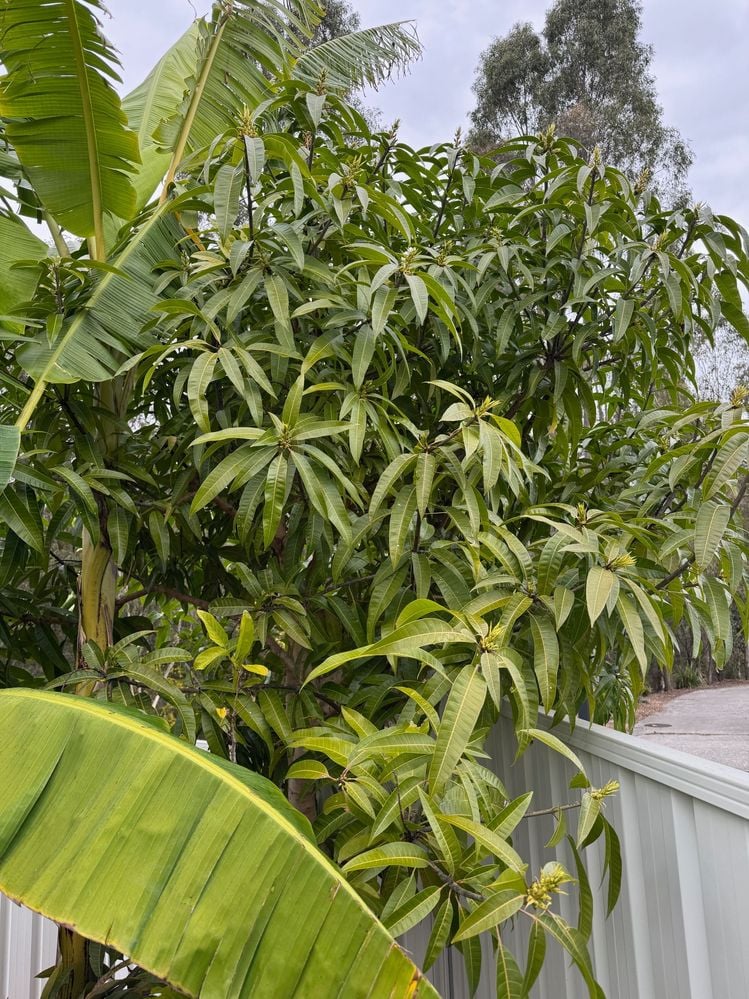 image0.jpeg image0.jpeg