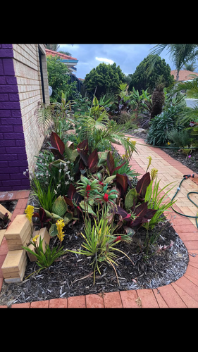 IMG_8706.png IMG_8706.png