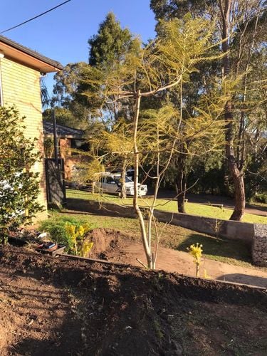 100 11-09-2022.jpg 100 11-09-2022.jpg