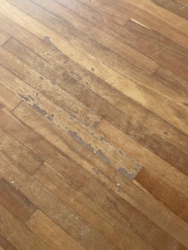 IMG_6006.jpeg IMG_6006.jpeg