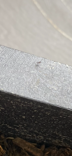 5DB69A35-EF0F-4015-A7E1-B5BA0BF32EB5.png 5DB69A35-EF0F-4015-A7E1-B5BA0BF32EB5.png