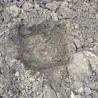 1. Choose a planting site.jpg 1. Choose a planting site.jpg