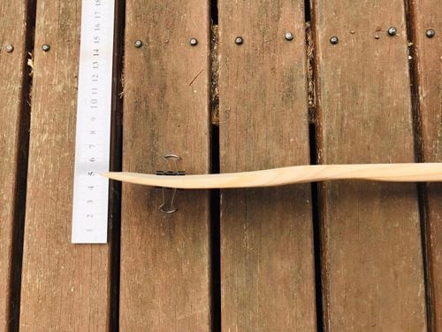 BFGPE2329.JPG BFGPE2329.JPG