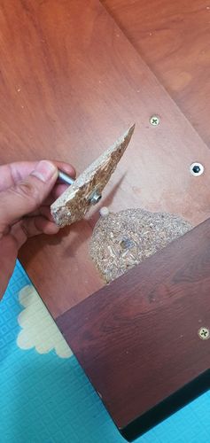 16908495967575656987909478158992.jpg 16908495967575656987909478158992.jpg