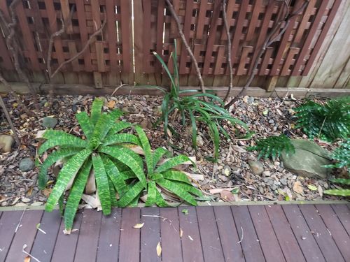 20200906_124653.jpg 20200906_124653.jpg