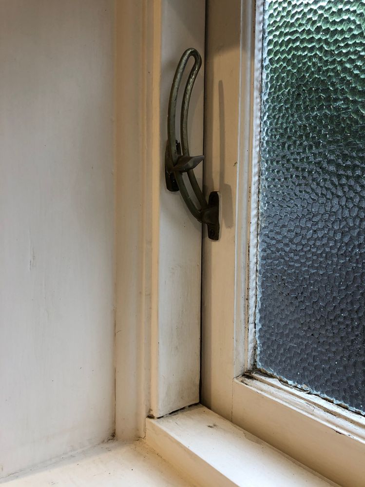 IMG_9381.jpg IMG_9381.jpg