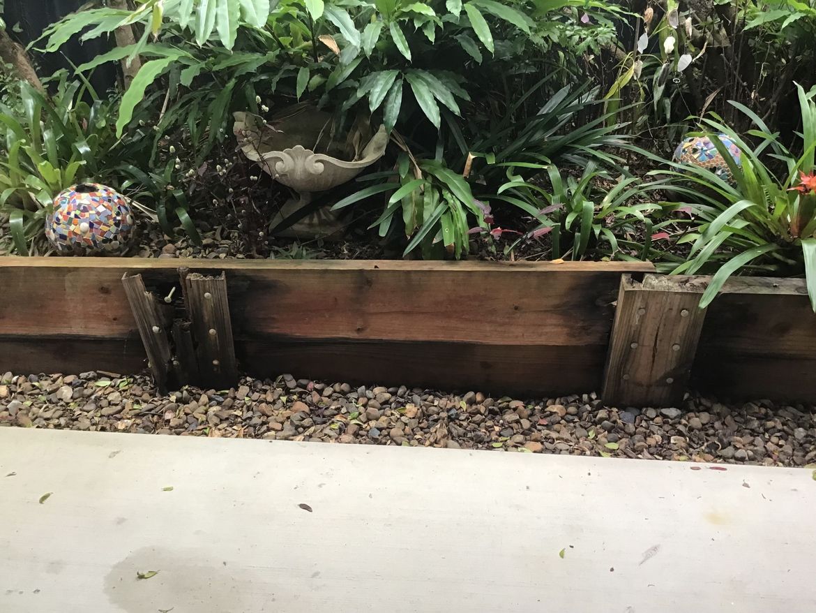 0C9337BC-A1DD-4070-B39B-8D483D2DB762.jpeg 0C9337BC-A1DD-4070-B39B-8D483D2DB762.jpeg