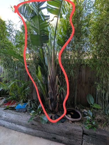 1000009087.jpg 1000009087.jpg