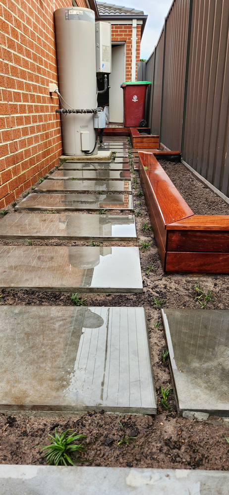 Tiny_plants.png Tiny_plants.png