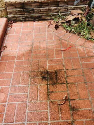 20240117_113626.jpg 20240117_113626.jpg