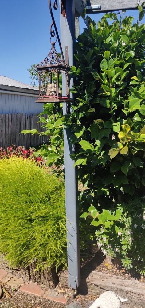 IMG_20211203_102322.jpg IMG_20211203_102322.jpg