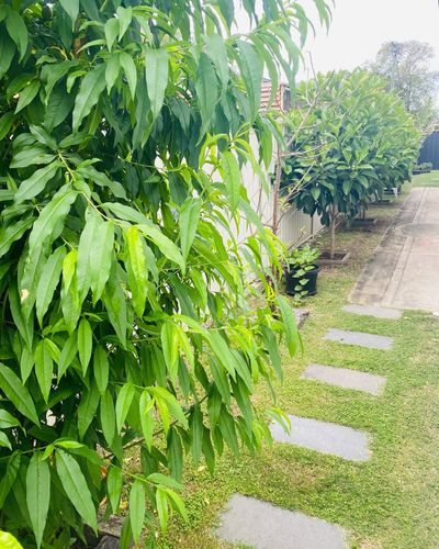 EBE723CA-3309-4168-B0CF-2084E94ACE50.jpeg EBE723CA-3309-4168-B0CF-2084E94ACE50.jpeg