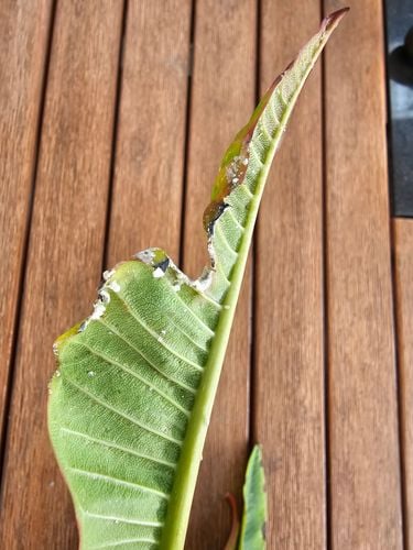 20231128_154604.jpg 20231128_154604.jpg