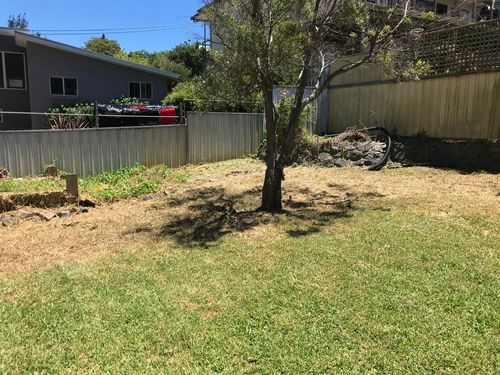 BD20E6E7-EB54-412C-9211-556373EBC6D2.jpeg BD20E6E7-EB54-412C-9211-556373EBC6D2.jpeg