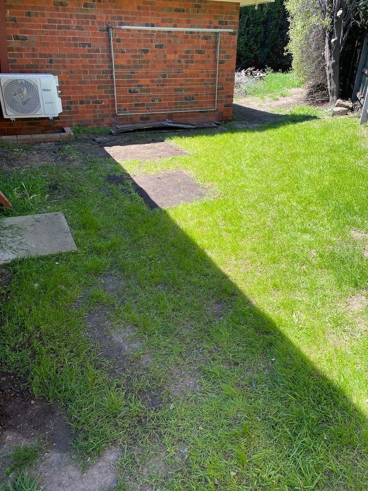 raised-beds-removed.jpg raised-beds-removed.jpg