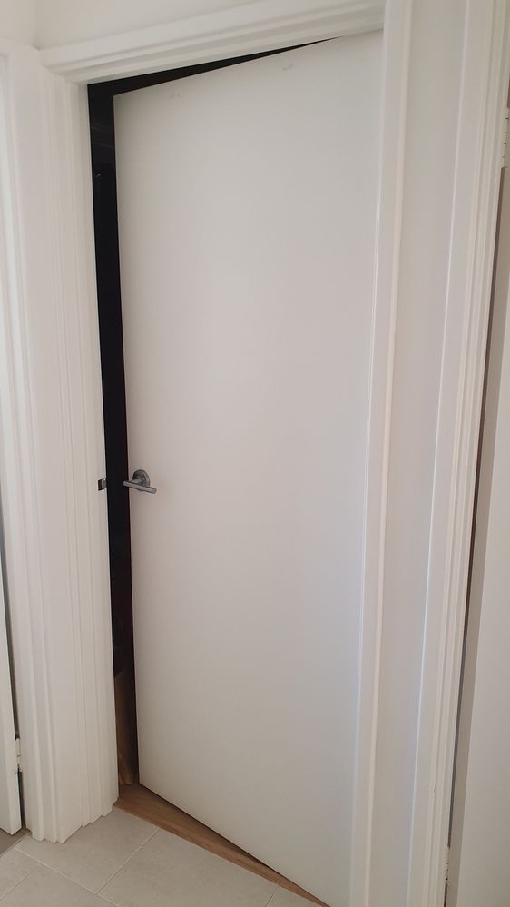 20231110_065235.jpg 20231110_065235.jpg