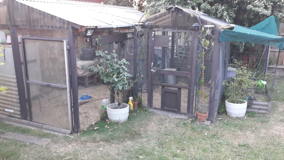 401750028_10232559800600189_9074939558023137192_n.jpg 401750028_10232559800600189_9074939558023137192_n.jpg