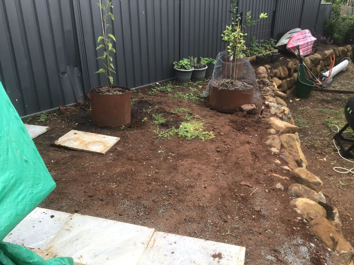 IMG_0896.jpeg IMG_0896.jpeg