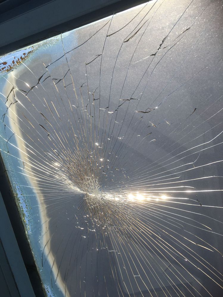 IMG_3587.JPG IMG_3587.JPG