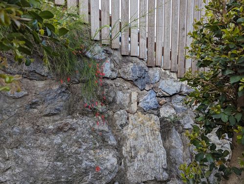 PXL_20231025_071933905.jpg PXL_20231025_071933905.jpg