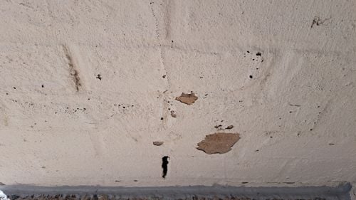 1000019963.jpg 1000019963.jpg