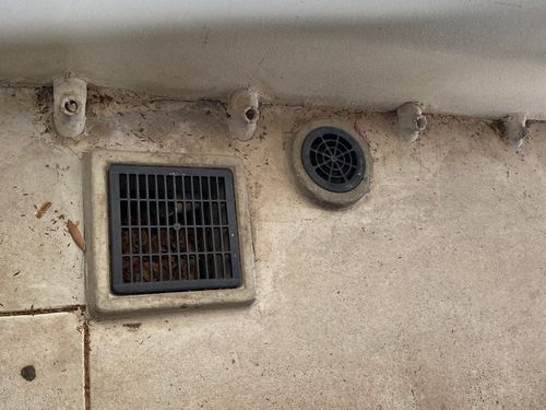 Koatrexy_0-1763727269895.jpeg Koatrexy_0-1763727269895.jpeg