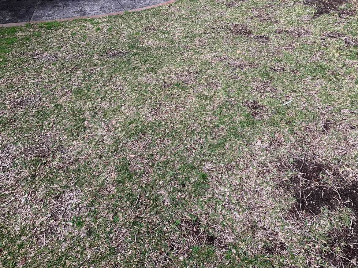 Image from iOS (1).jpg Image from iOS (1).jpg