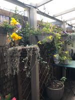 IMG_6728.JPG IMG_6728.JPG