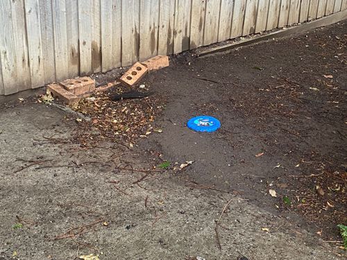 IMG_9411.jpeg IMG_9411.jpeg