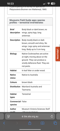 IMG_6466.png IMG_6466.png